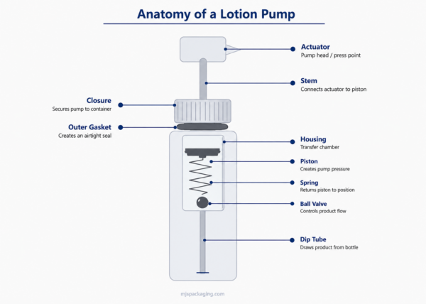 Lotion Pump Anatomy